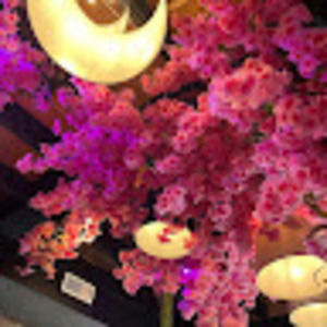 Meet your Posher, Gina